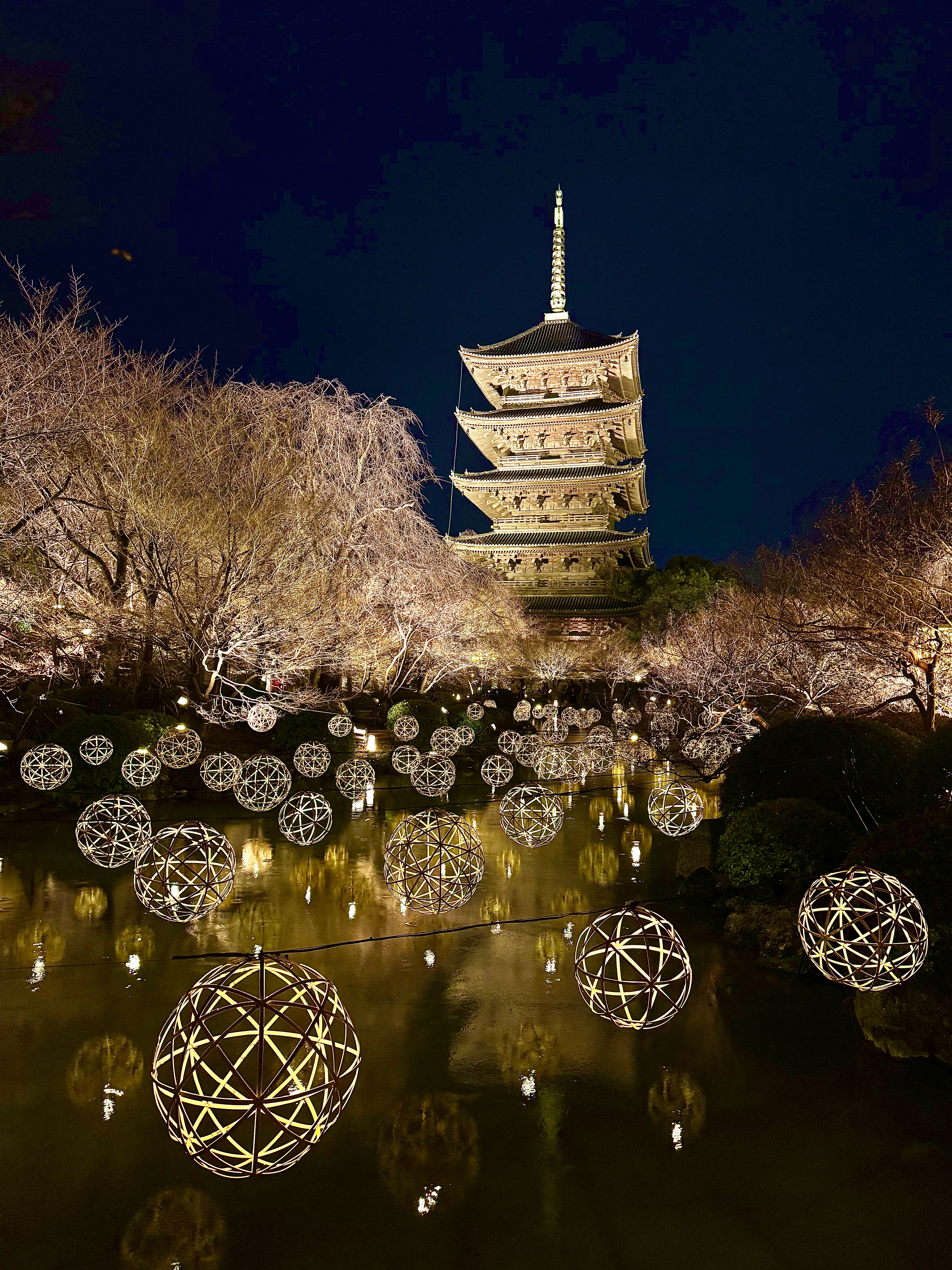 東寺のライトアップ✨