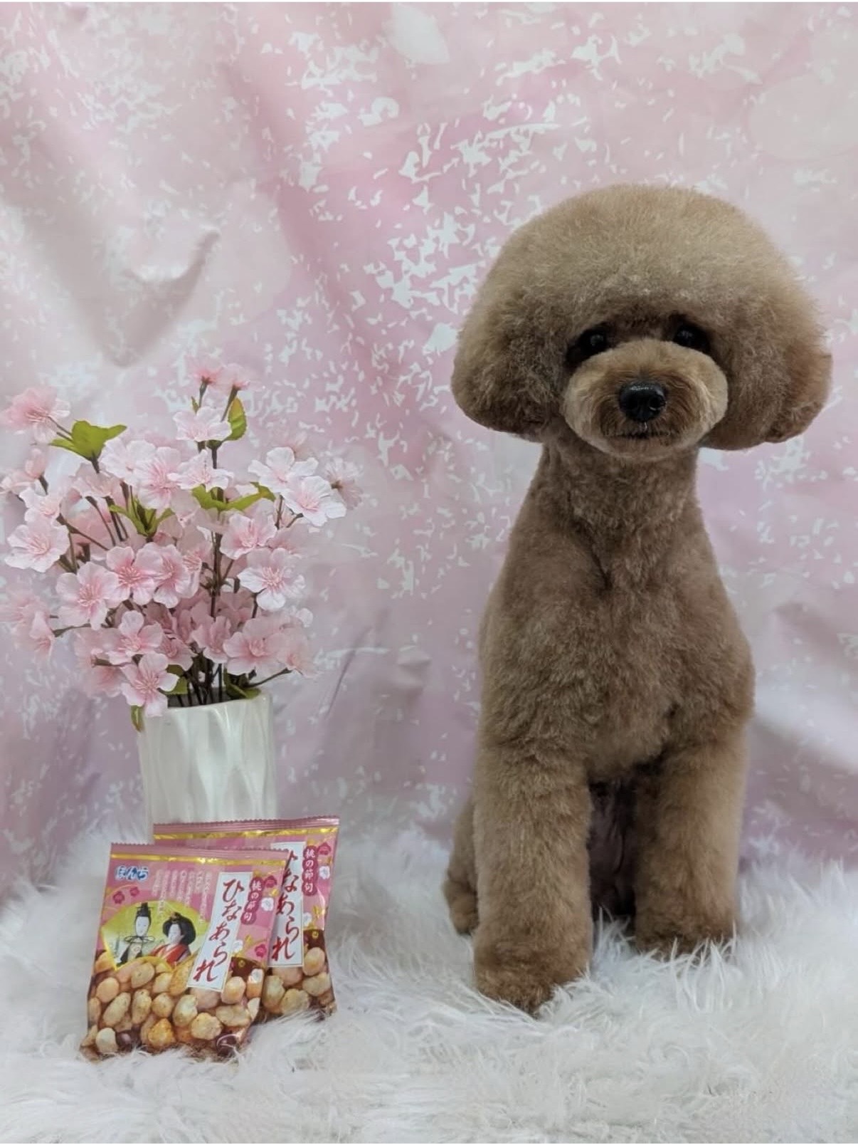 久しぶりの出勤♡